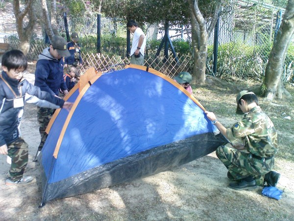 53202e39-a3c1-4ed1-907b-5a49f5366eee